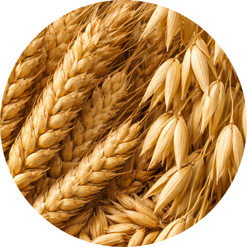 Small Grains