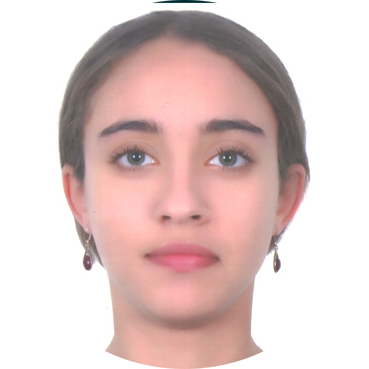 Nour Selmi